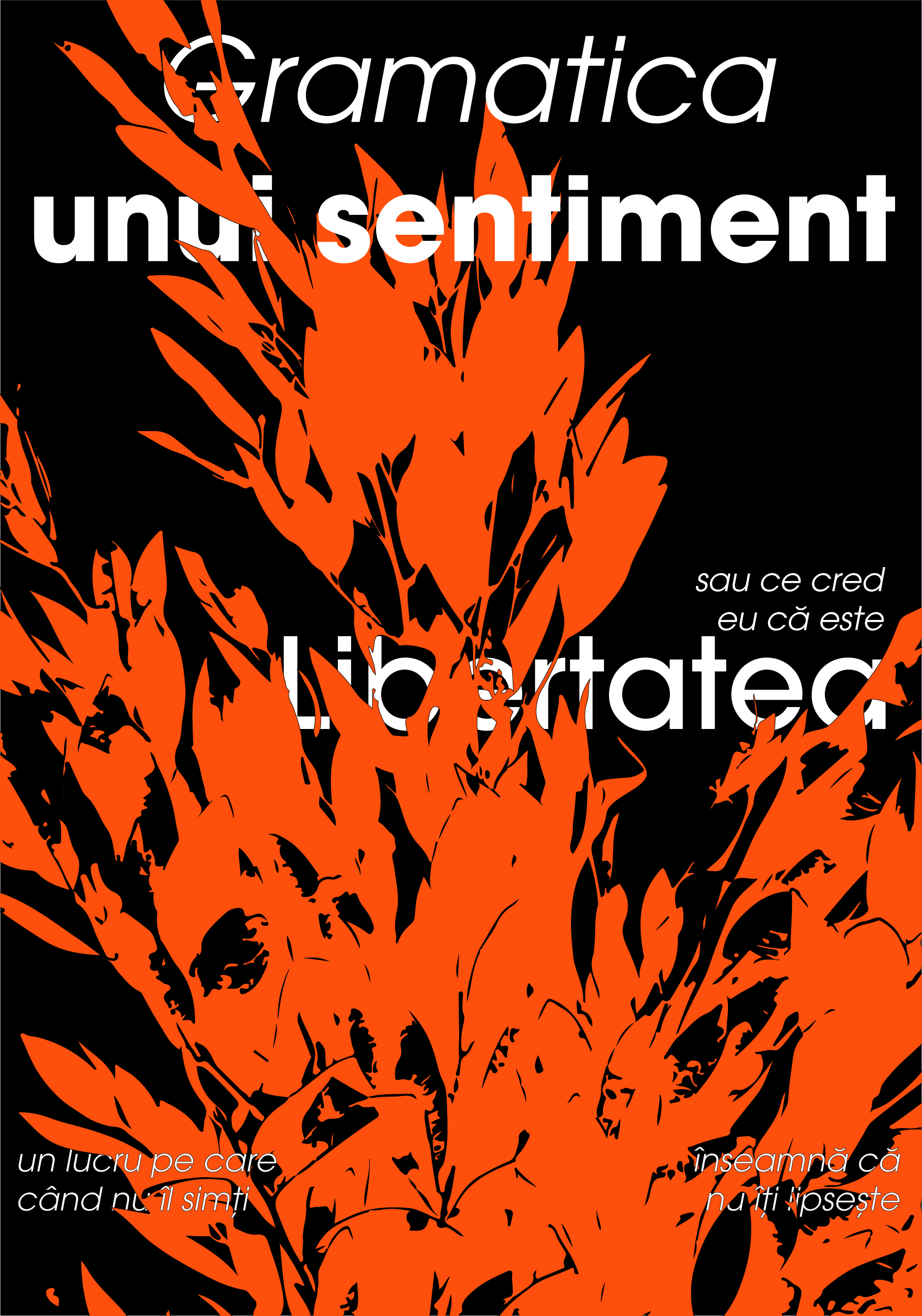 Proiect 20