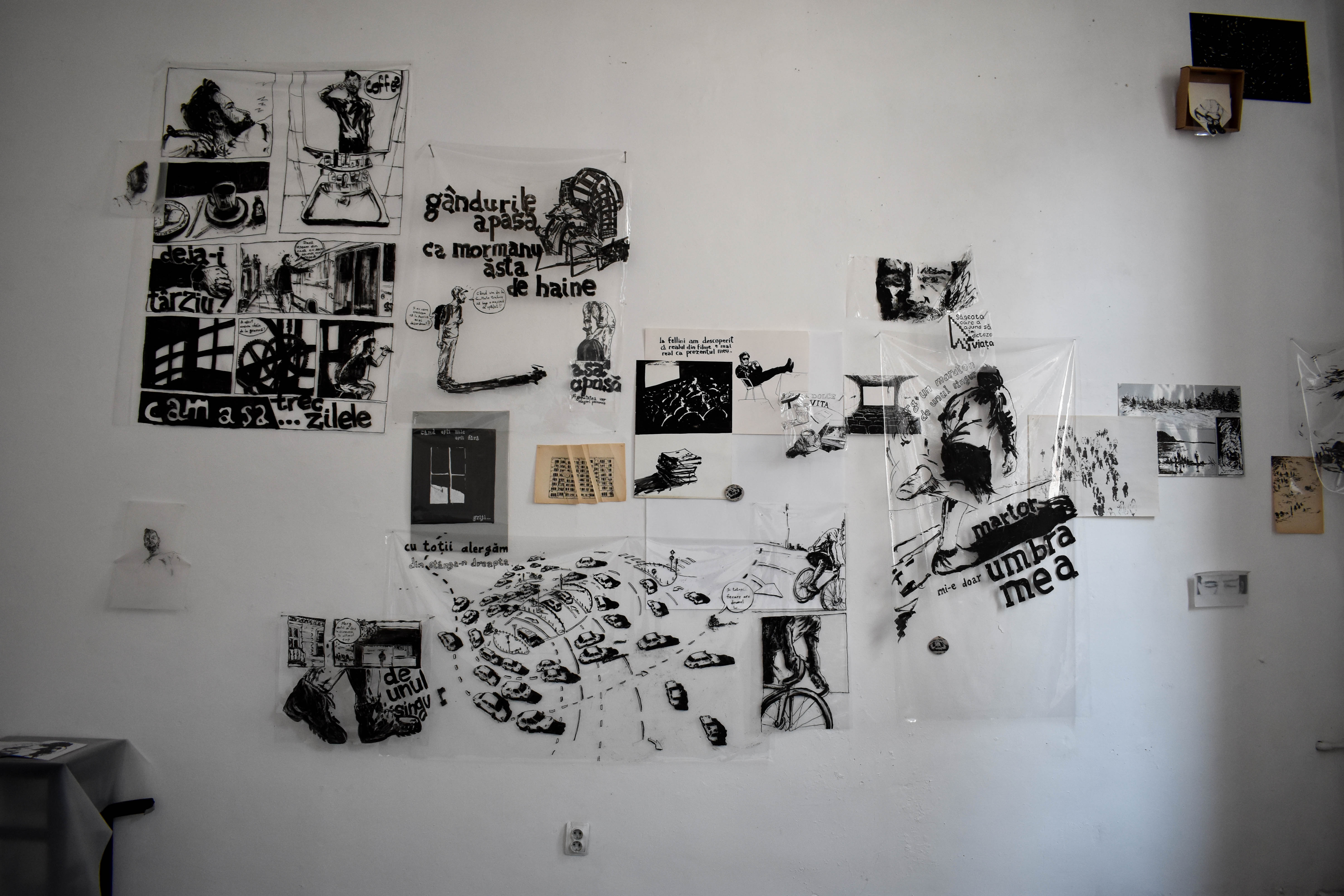 Proiect 21