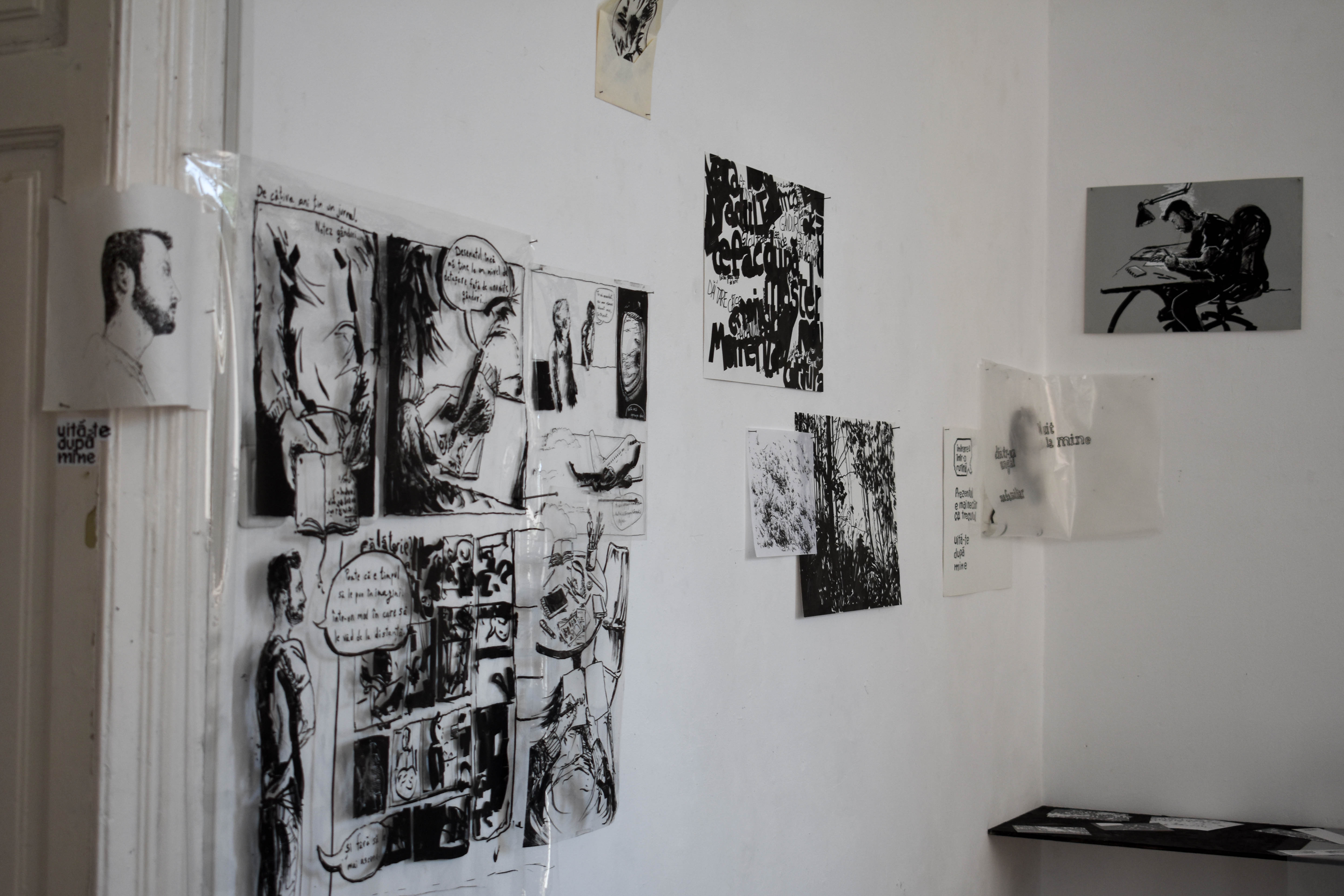 Proiect 22