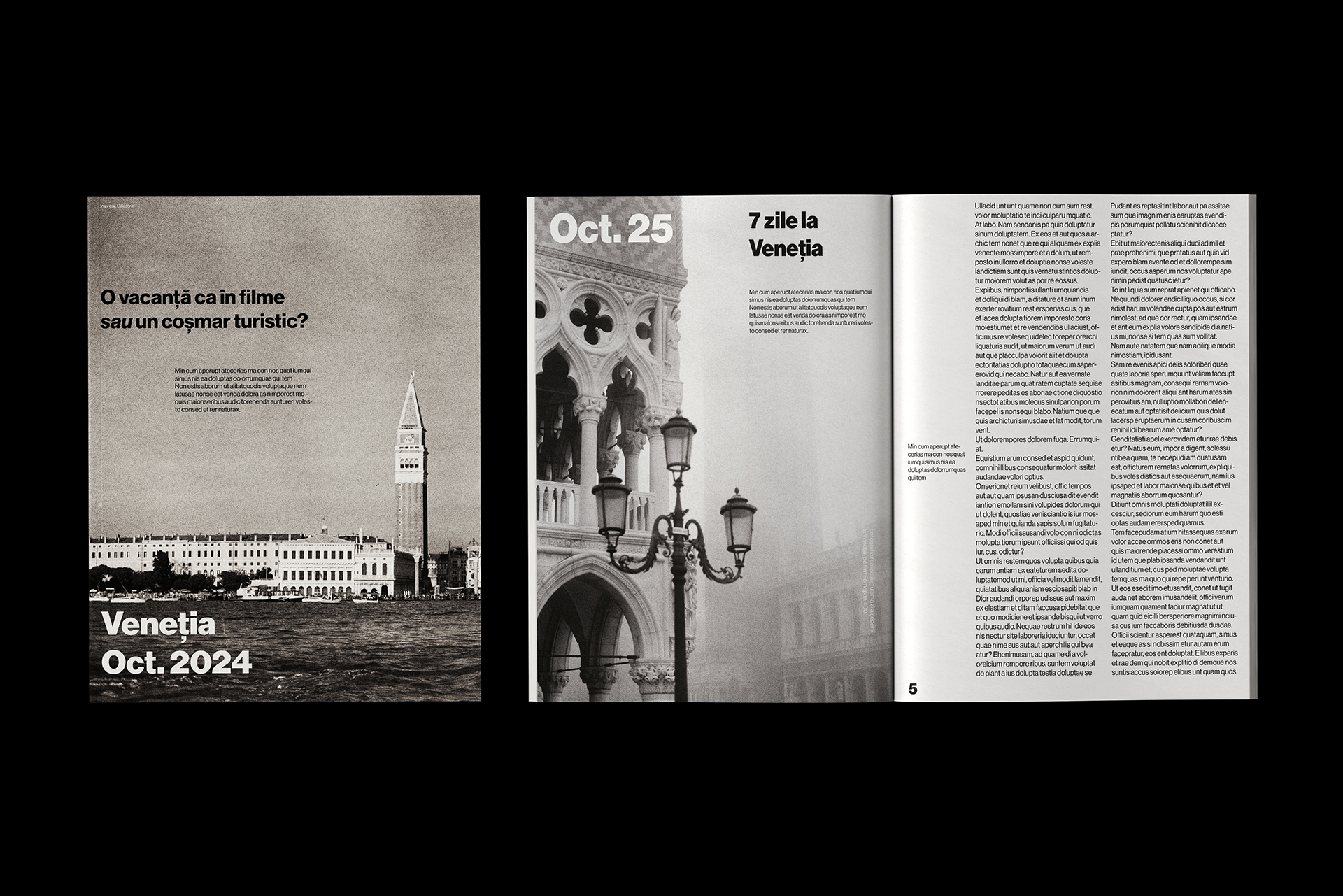 Proiect 22